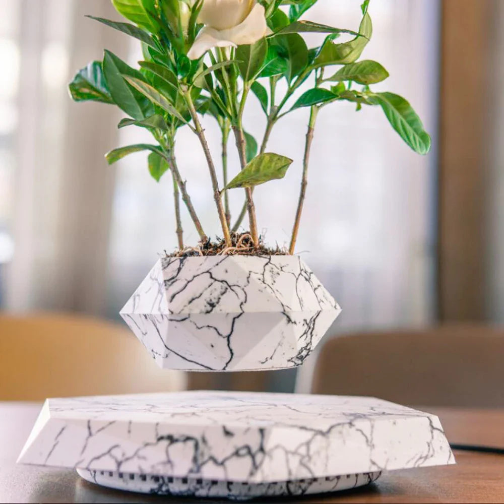 Home and Gardens